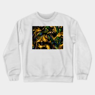 Neural progenitor cell differentiation (C018/8758) Crewneck Sweatshirt